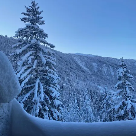 Lejlighed Location En Val D'arly Avec Vue