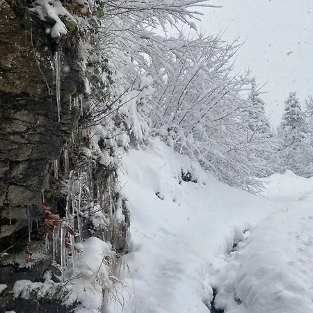 Location En Val D'arly Avec Vue *