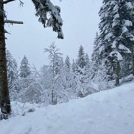 Location En Val D'arly Avec Vue
